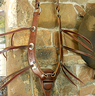 Bear Paw Breast Plate
